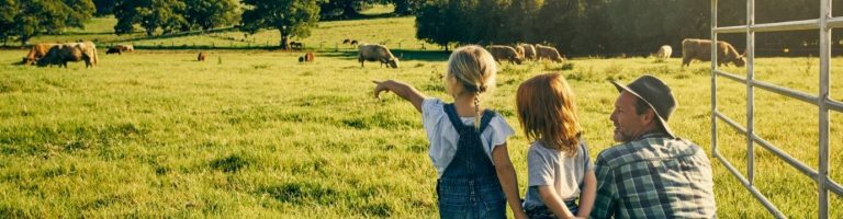 Child pointing on cows grazing on the field