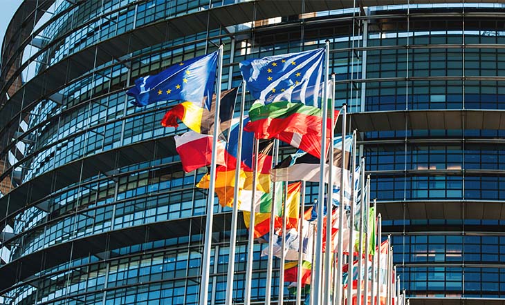 Tous les drapeaux des pays européens devant le Parlement européen à Strasbourg, en France