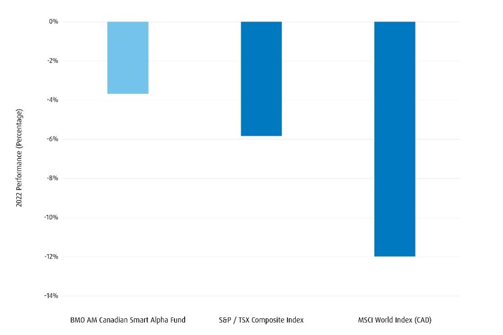BMO AM Canadian Smart Alpha Equity Fund performance in 2022