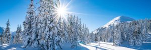 Star shape sun in snowcapped winter mountain landscape stock photo Winter, Snow, Landscape - Scenery, Mountain, Tree