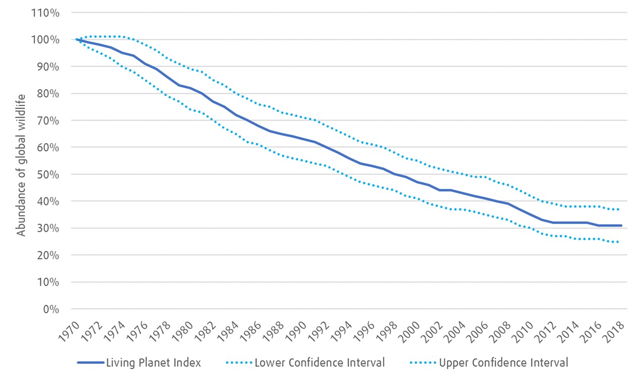 The Living Planet Index is a time-series based on population, density, and abundance of the world's biodiversity. This index, declining from 100% in 1970 to almost 30% in 2018, shows a steep decline in the world's biodiversity