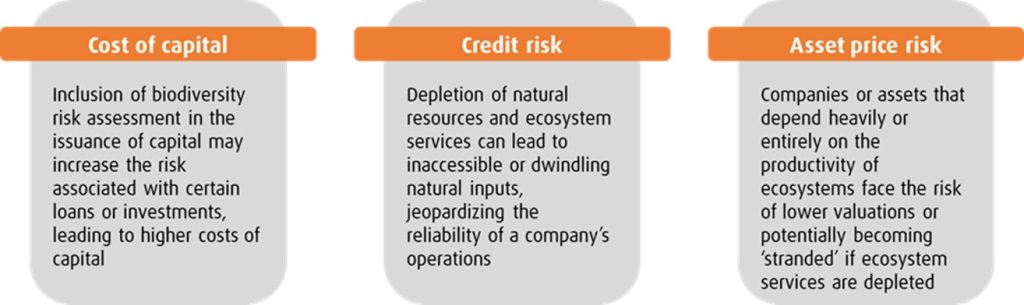 Investors face a number of risks, such including cost of capital, credit risk and asset price risk. Regarding cost of capital, inclusion of biodiversity risk assessment in the issuance of capital may increase the risk associated with certain loans or investments, leading to higher costs of capital. For credit risk, depletion of natural resources and ecosystem services can lead to inaccessible or dwindling natural inputs, jeopardizing the reliability of a company’s operations. Finally, for asset price risk, companies or assets that depend heavily or entirely on the productivity of ecosystems face the risk of lower valuations or potentially becoming ‘stranded’ if ecosystem services are depleted