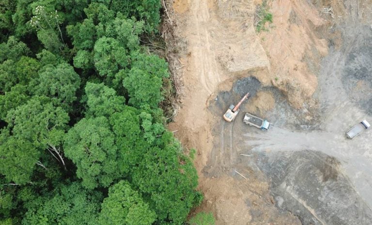 Top view of the forest and construction site with three trucks