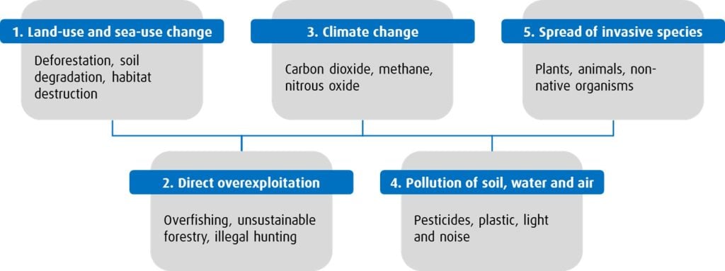 IPBES has outlined 5 major pressures on nature by businesses. These include land-use and sea-use change (ex. deforestation), direct overexploitation (ex. overfishing), climate change (ex. carbon dioxide emissions), pollution of soil, water and air (ex. plastics), and invasive species (ex. non-native organisms)