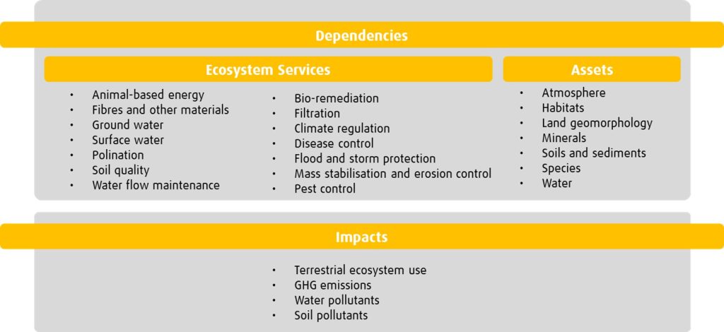 By using the ENCORE tool, investors and companies could derive a list of dependencies and impacts on nature